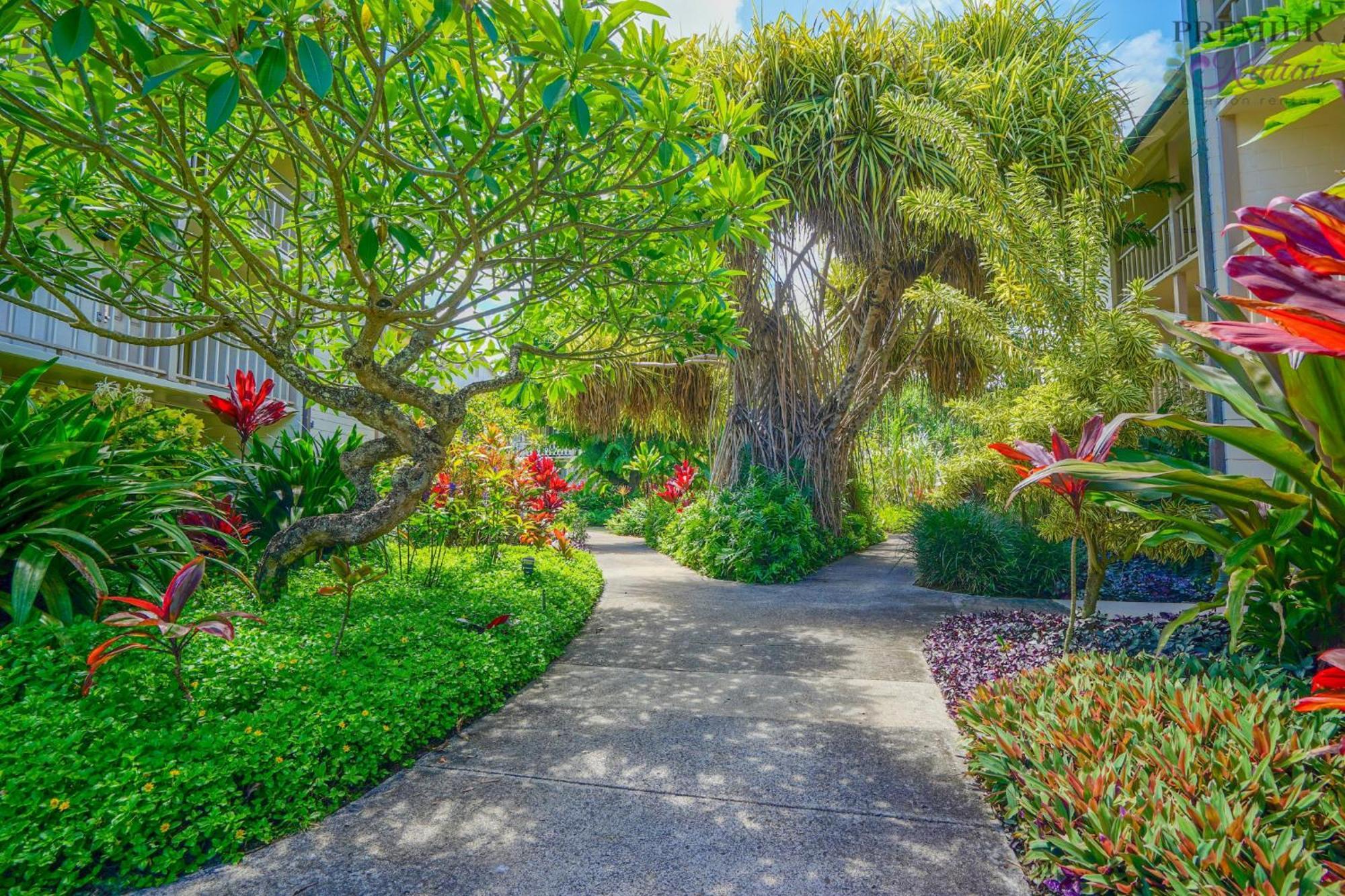 Seaview At The Islander On The Beach Oceanview Studio 201 Kapa'a Exterior photo